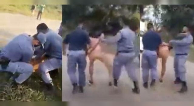 Detenidos por veda de pesca: un joven agredió a los policías y estos le respondieron con violencia