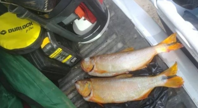 Demorados con pescados fuera de medida y en temporada de veda