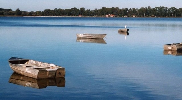 Especialistas trabajan junto con pescadores para repoblar de pejerreyes las lagunas bonaerenses