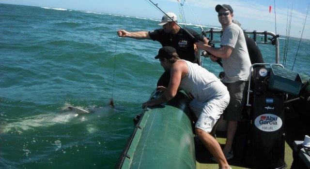 Argentina: la historia de los pescadores deportivos que decidieron cambiar y ayudar a la ciencia