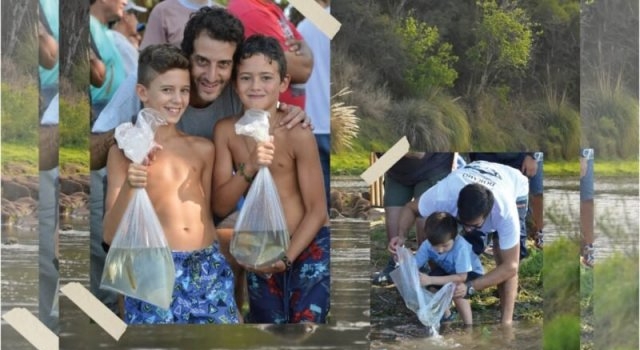 Siembra de dorados en Córdoba