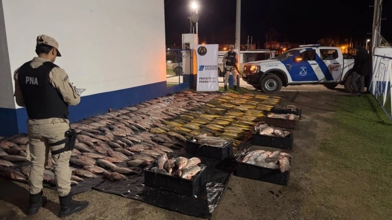 Nuevo golpe a la pesca ilegal en Villa Paranacito: cargamento de 1.300 kilos que preocupa
