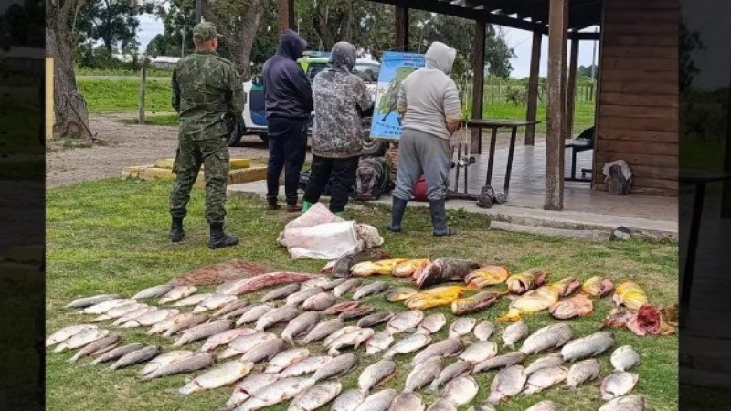 Corrientes: incautaron 93 piezas de pesca ilegal en plena veda