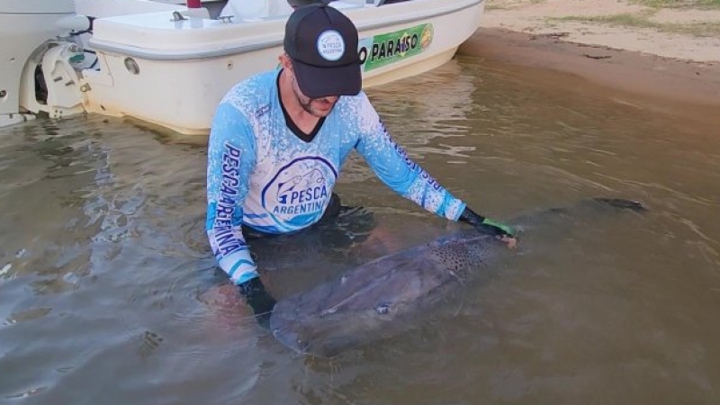 La otra cara de El Ni&ntilde;o: una chance para los peces del Paran&aacute;