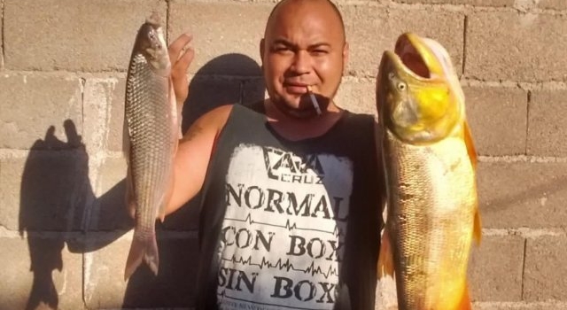Pescó un Dorado de 7 kilos en el río Cuarto