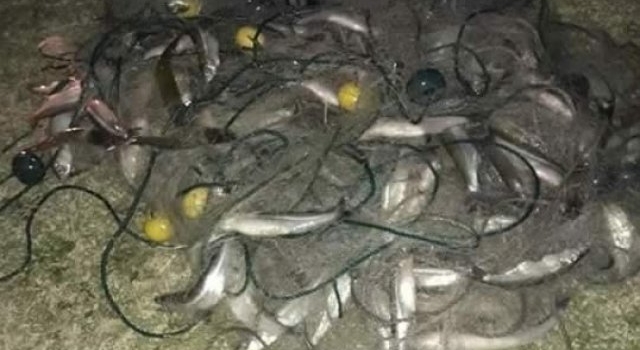 Pesca furtiva: secuestraron redes y trasmallos