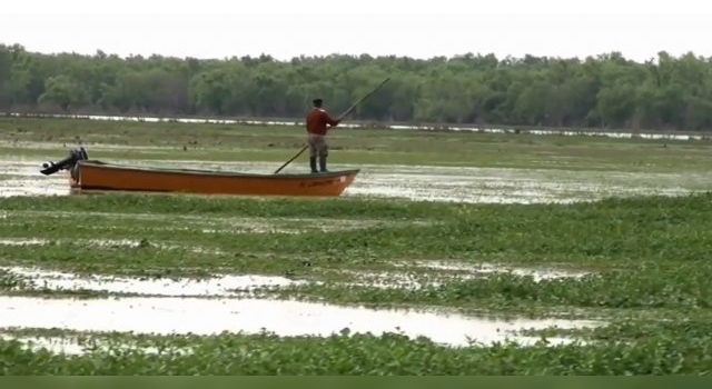 Río Paraná, reproducción y migración de los peces y la incidencia del hombre