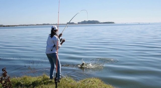 Reeles Rotativos - Pesca en Argentina - Todo sobre Pesca Deportiva